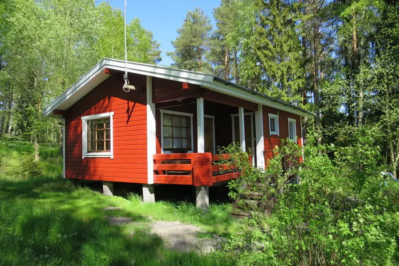 sinitiainen